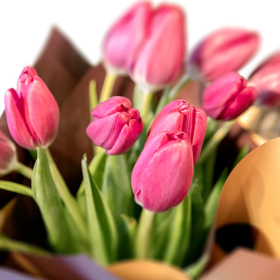 Buchet "Fuchsia Charm" 🌷 - imagine 2