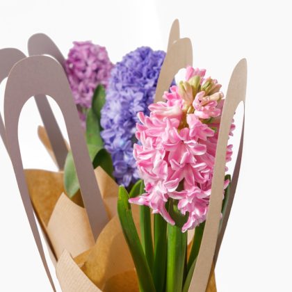 Zambilă Parfumată la Ghiveci în Ambalaj Kraft cu Mâner – Diverse Culori