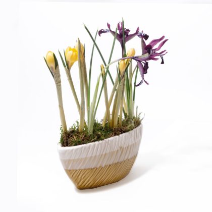 Aranjament Primăvară cu Iris Mov, Bulb de Crocus și Mușchi natural – Vas Ceramic